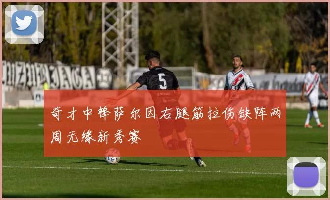 奇才中锋萨尔因右腿筋拉伤缺阵两周无缘新秀赛